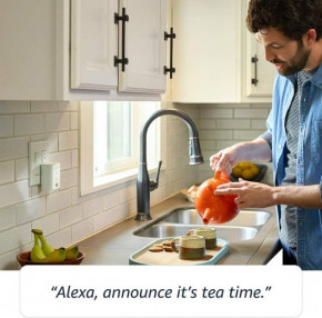   Amazon Echo Flex    Amazon Alexa 9