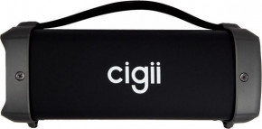   Cigii F61 (VB165378) 5