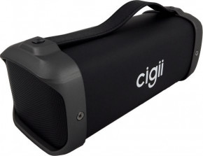   Cigii F61 (VB165378) 8