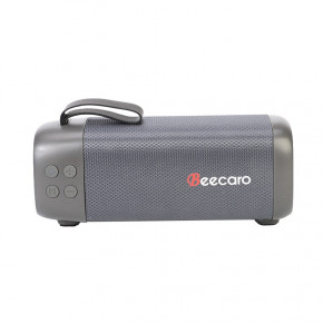   Beecaro GF401 Bluetooth 