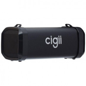  Bluetooth  SPS Cigii F41,  (77701862) 5