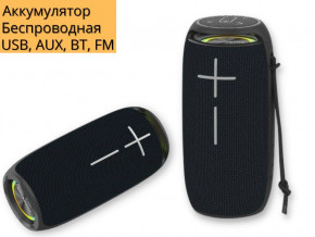   XPRO P29 15 USB, AUX, FM, Bluetooth  (P29) 3