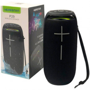   XPRO P29 15 USB, AUX, FM, Bluetooth  (P29) 7