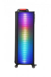    XPRO NDR-1010S 100, USB, SD, FM , Bluetooth, 2 ,  (41193-NDR-1010S) 4