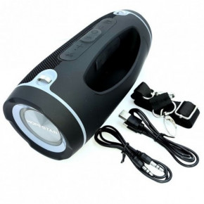   XPRO H45 PARTY 10 USB, AUX, FM, Bluetooth  (H45 PARTY) 4