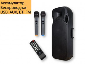    XPRO A15-15   150 USB, SD, FM , Bluetooth, 2 ,  (A15-15) 3