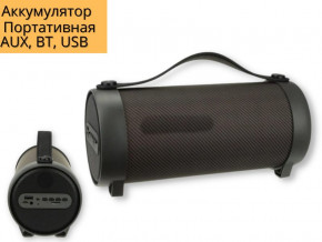   XPRO S11F 15 USB, AUX, FM, Bluetooth  (S11F BT) 3