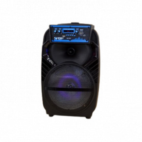    XPRO QS-801   30, USB, SD, FM , Bluetooth, 1 ,   (QS-801) 5