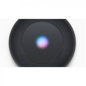  Smart  Apple HomePod mini Gray (MY5G2) (1)