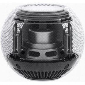   Apple Homepod mini Space Gray 5