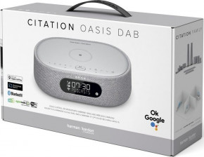   Harman/Kardon Citation Oasis Gray (HKCITAOASISGRYEU) 7