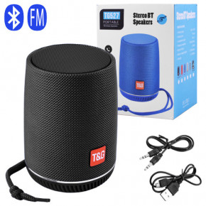 Bluetooth- TG527, speakerphone, , black (8658)