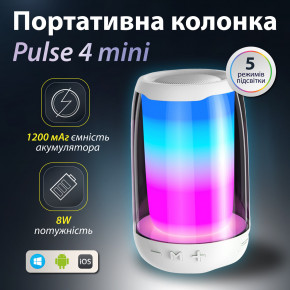    Pulse 4   USB  Bluetooth 5  Type-C AUX Micro SD,    (8893AW)