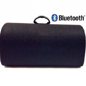      1008BT Subwoofer c bluetooth   12/24/220v (77703484) 4