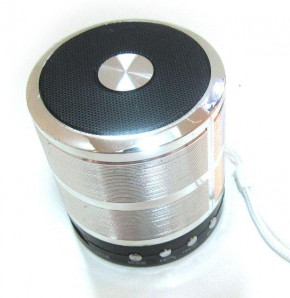   bluetooth MP3  SPS 887 Silver (ZE35002300)