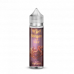     Wild Steam Mechican 60  0  (Wild Steam Mechican 0mg) Stellar