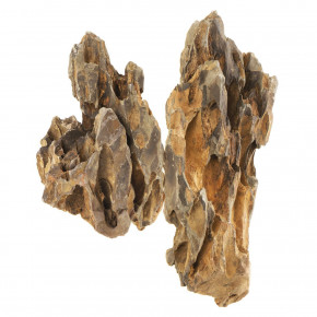  Aquael Dinosaur bone 1  (246309)