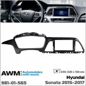   Hyundai Sonata AWM 981-01-565 6