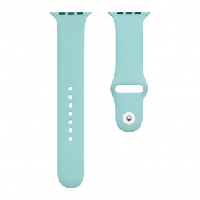    Band Silicone Classic Apple Watch 38/40/41 mm Spearmint (Classic38-50.Spearmint)