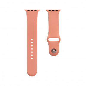  Apple Watch Band Silicone One-Piece 42 / 44mm  01 24