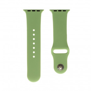  Apple Watch Band Silicone One-Piece 38 / 40mm  06 14