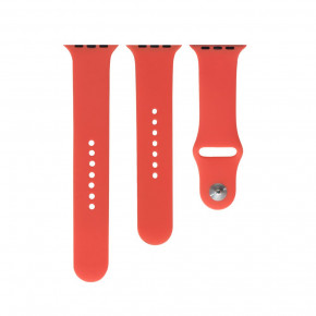  Apple Watch Band Silicone Two-Piece 42 / 44mm  01, ׸ 29