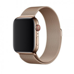  Apple Milanese Loop Gold 45 mm (ML763)