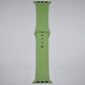  Apple Watch 42mm M/L silicone Mint green 3