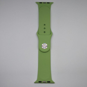  Apple Watch 42mm M/L silicone Mint green 4