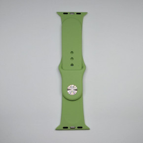  Apple Watch 42mm S/M silicone Mint green 3