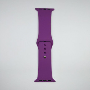  Apple Watch 42mm S/M silicone Purple 4