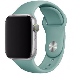   Epik Apple watch 38mm / 40mm  /Light cactus