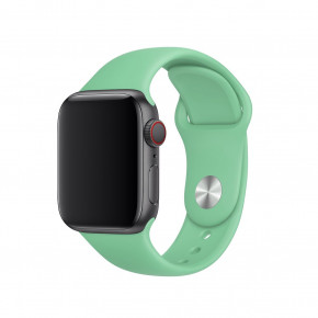   Epik Apple watch 38mm / 40mm  / Spearmint