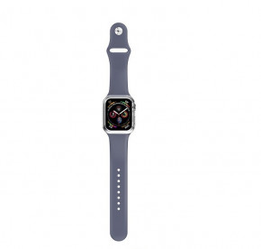 P Hoco WB09 ( )  Apple Watch Series 1/2/3/4 (42/44mm) Blue 3