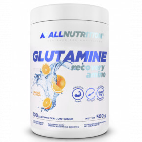  All Nutrition Glutamine - 500g 100-71-4064882-20