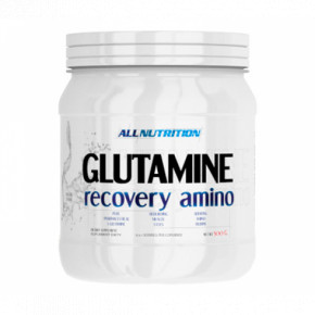  All Nutrition Glutamine Recovery Amino - 500g Lemon 100-49-5127375-20 3