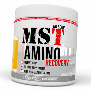  MST Amino Recovery 400  (28288008)