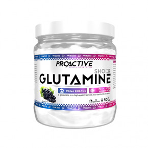  ProActive Glutamine Shock 500   (4384301777)