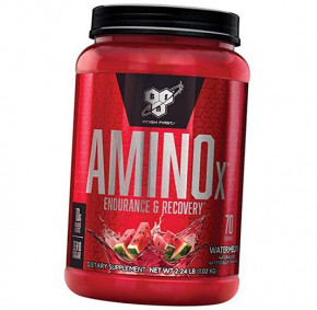  BSN Amino -X 1010 