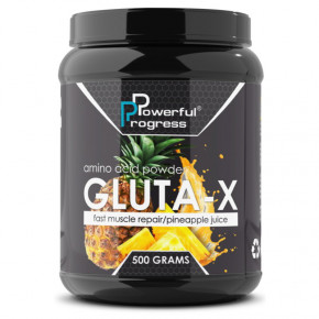 Glutamines Powerful Progress Gluta-X 500  