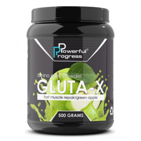  Powerful Progress Gluta-X 500  