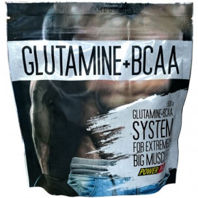  Power Pro Glutamine BCAA 500 