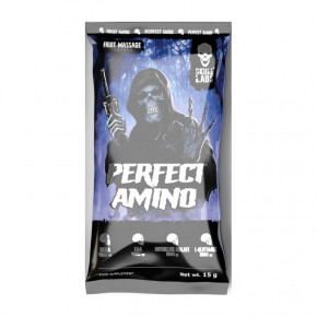  Skull Labs Perfect Amino 15 g dragon fruit