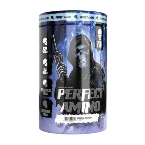  Skull Labs Perfect Amino 450 g blackberry pineapple