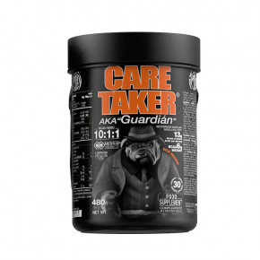  Zoomad Labs Caretaker BCAA 480  