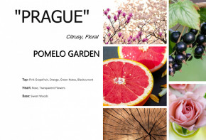  Kote PRAGUE Pomelo Garden