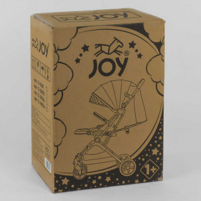    JOY   (C-4004) 3