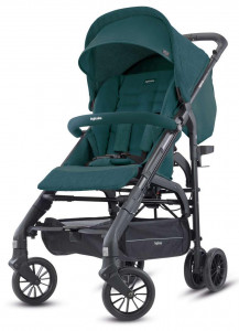   Inglesina Zippy Light Teal Green (70151) 3