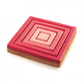    Silikomart TARTE RING SQUARE 200X200 H20 MM NEW  3