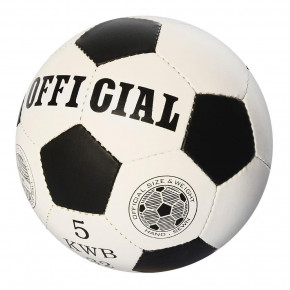   Profiball Official 5  (2500-202)